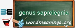 WordMeaning blackboard for genus saprolegnia